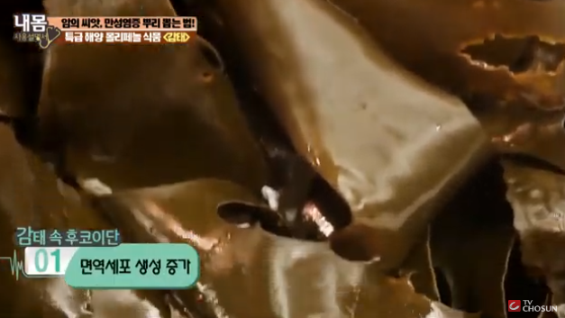 감태 효능과 조리법