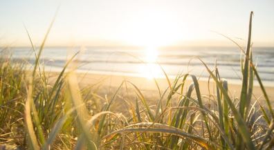 여름철 보양식 기력회복 보양식 추천