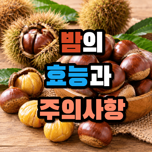 밤의 효능
