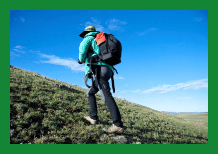 콜레스테롤낮추는법