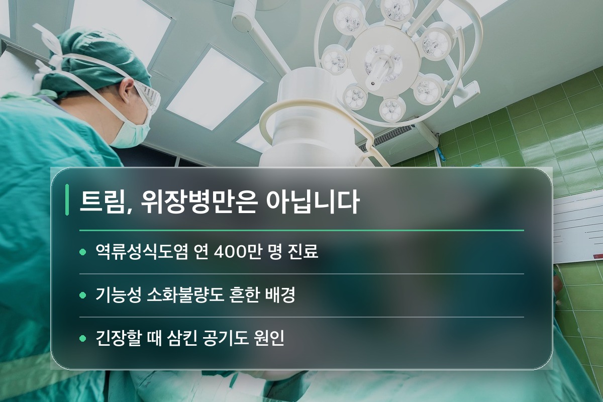 트림 자주 위장병 탓이라는 생각은 절반만 맞습니다