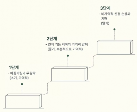 비타민b12 효능