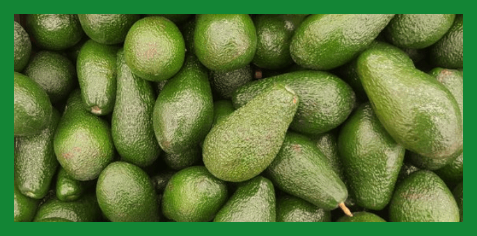 고지혈증예방법