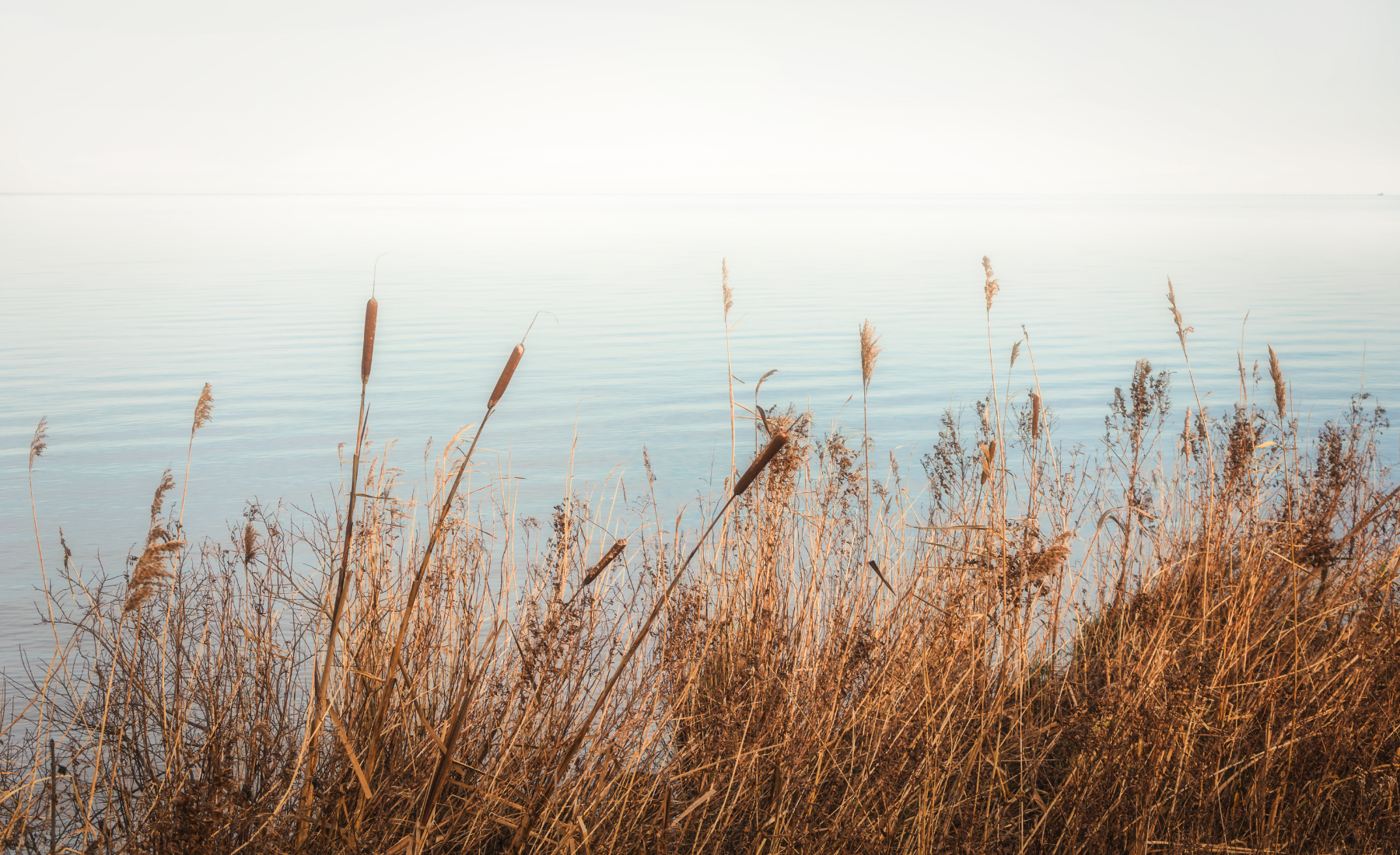 간월재 억새평원 추천 (가을여행, 등산코스, 억새철)