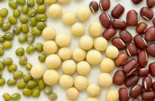 단백질이 풍부한 슈퍼 푸드 콩