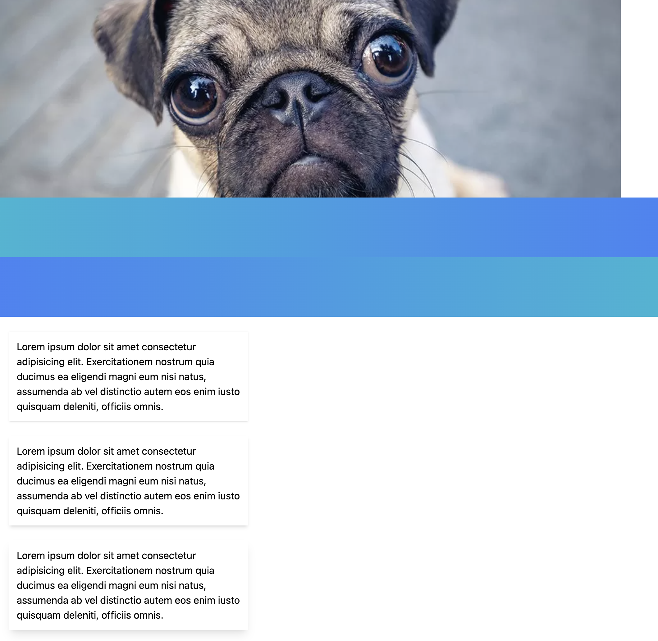 article thumbnail image