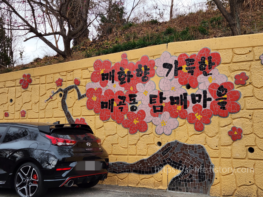 매화향 가득한 매곡동 탐매마을