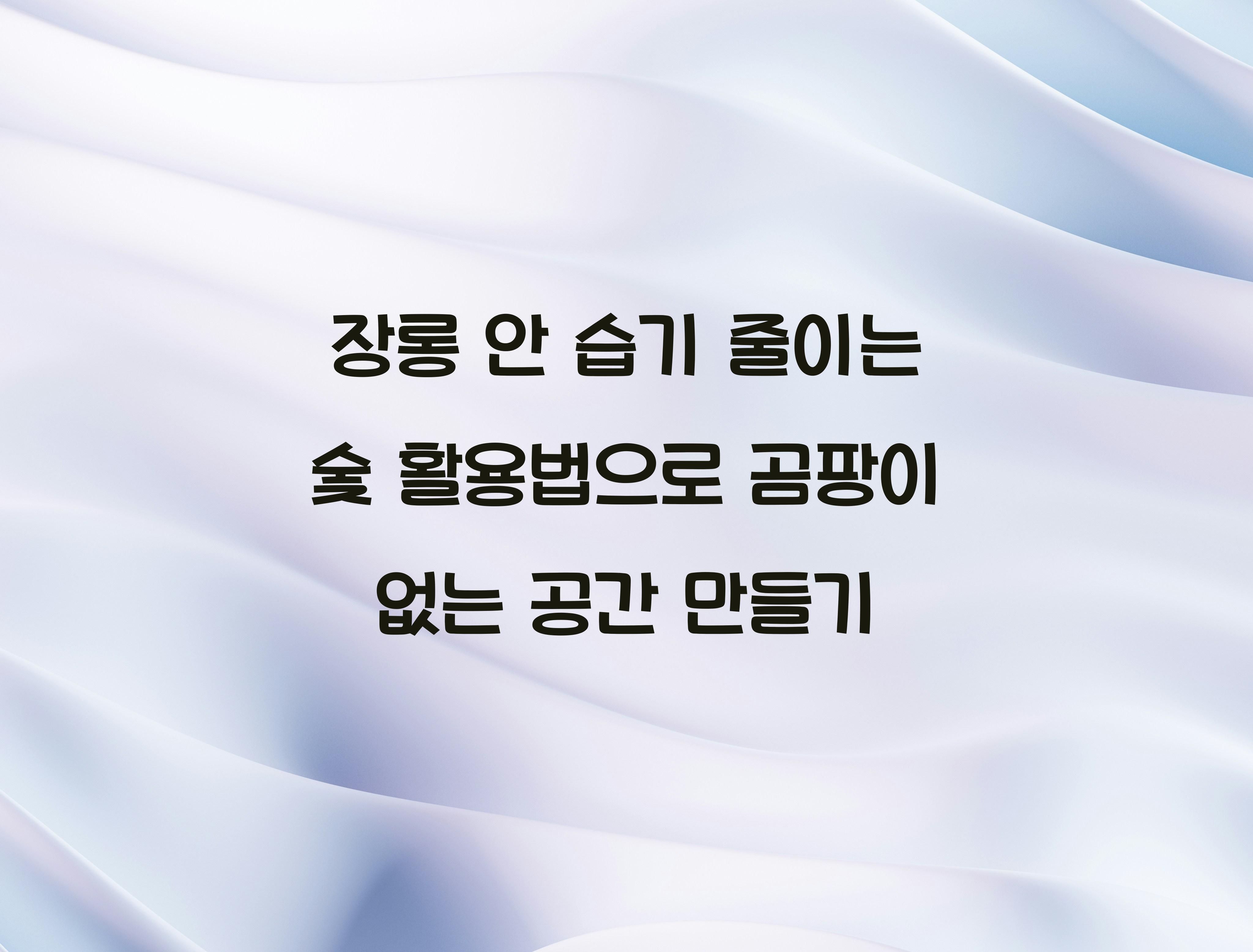 장롱 안 습기 줄이는 숯 활용법