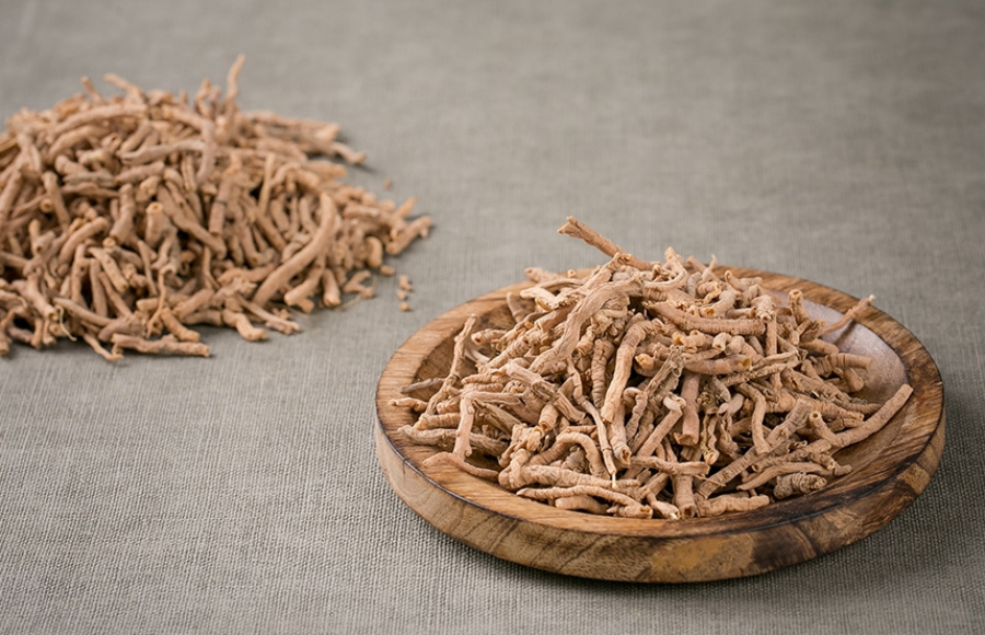 야생에서 채취를 한 원지를 깨끗하게 세척하고 건조시킨 것을 바닥과 동그란 네모 그릇에 한움큼씩 놓아두고 찍은 사진