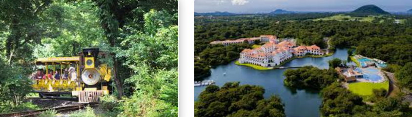 에코랜드 아름다움