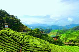 농지취득자격증명 요건