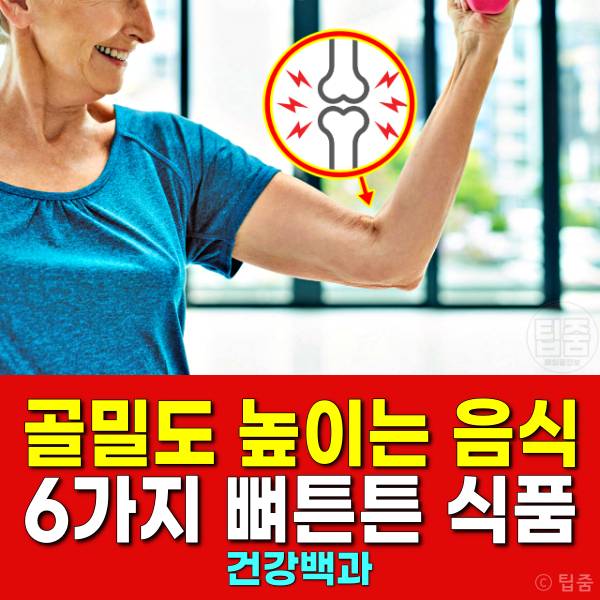 골밀도 높이는 음식 뼈튼튼해지는음식