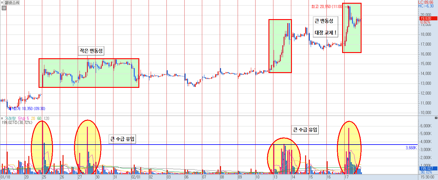 셀바스AI 30분봉 차트