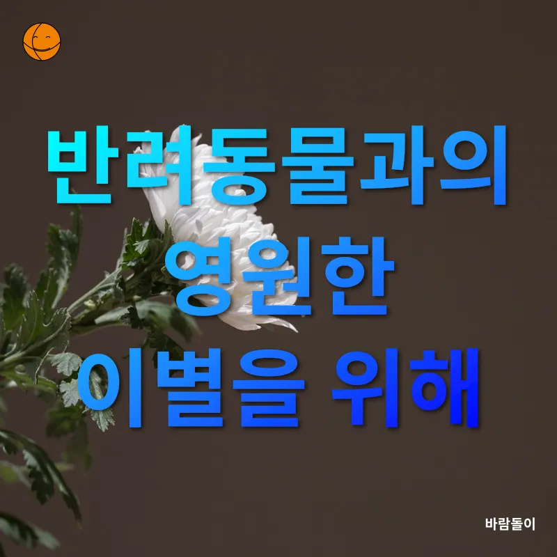 반려동물 장례문화_3