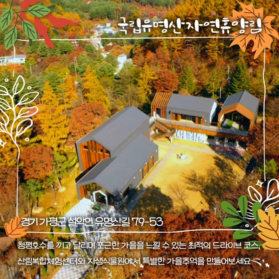 단풍놀이 명소