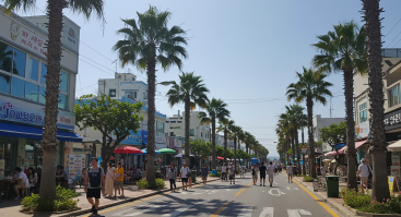 제주도 폭염