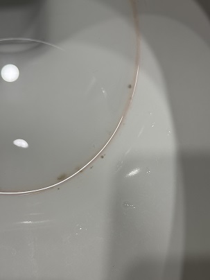 청소 전 변기 안쪽 사진