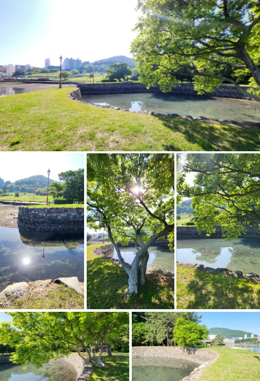 선소유적지 내 사진들