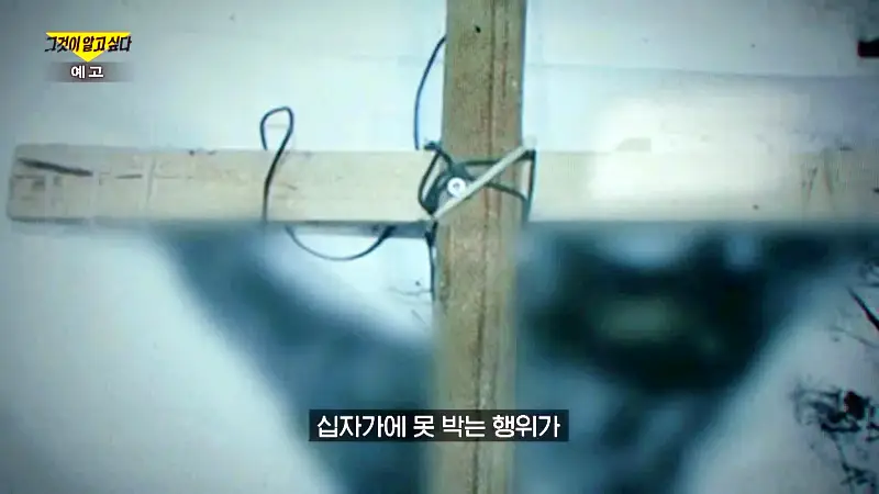 그알 그것이알고싶다 포항 고양이 연쇄 살해 사건 캣맘 불법 먹이 투기 행위 반대 캣 프레데터 강력 살인 범죄 징조 사례 1318회