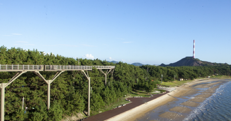 장항송림산림욕장 장항스카이워크