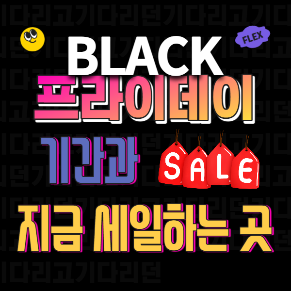 2023 블랙프라이데이 기간과 지금 세일하는 곳 보기