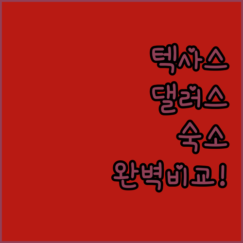 미국 텍사스 댈러스 여행 호텔 예약 ..