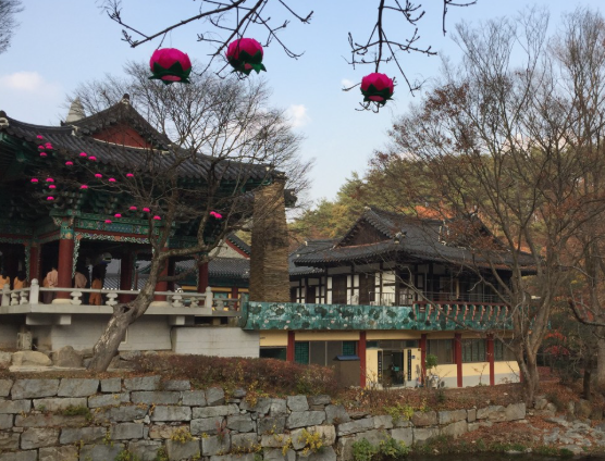 고요한 마곡사 담장 너머로 1000년의 세월이 보인다