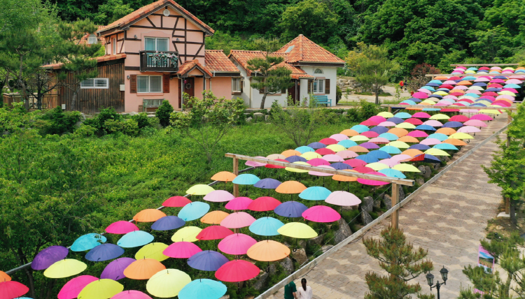 포천 허브아일랜드