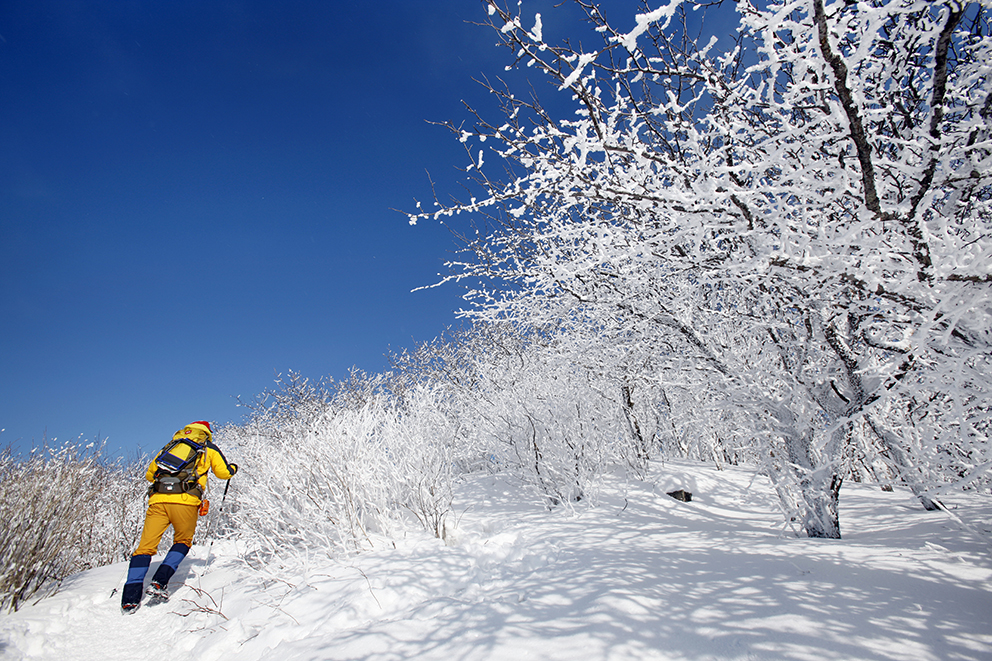 오대산 두로봉 코스