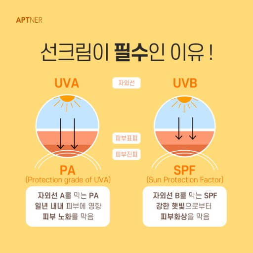 선크림
