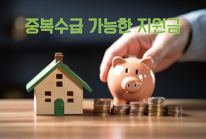 2025 정부지원금