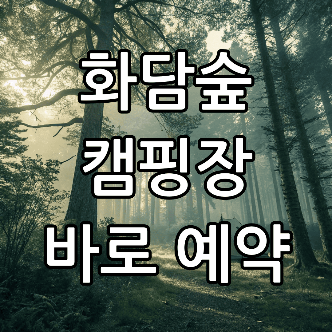 2025년 화담숲 예약 방법 총정리!