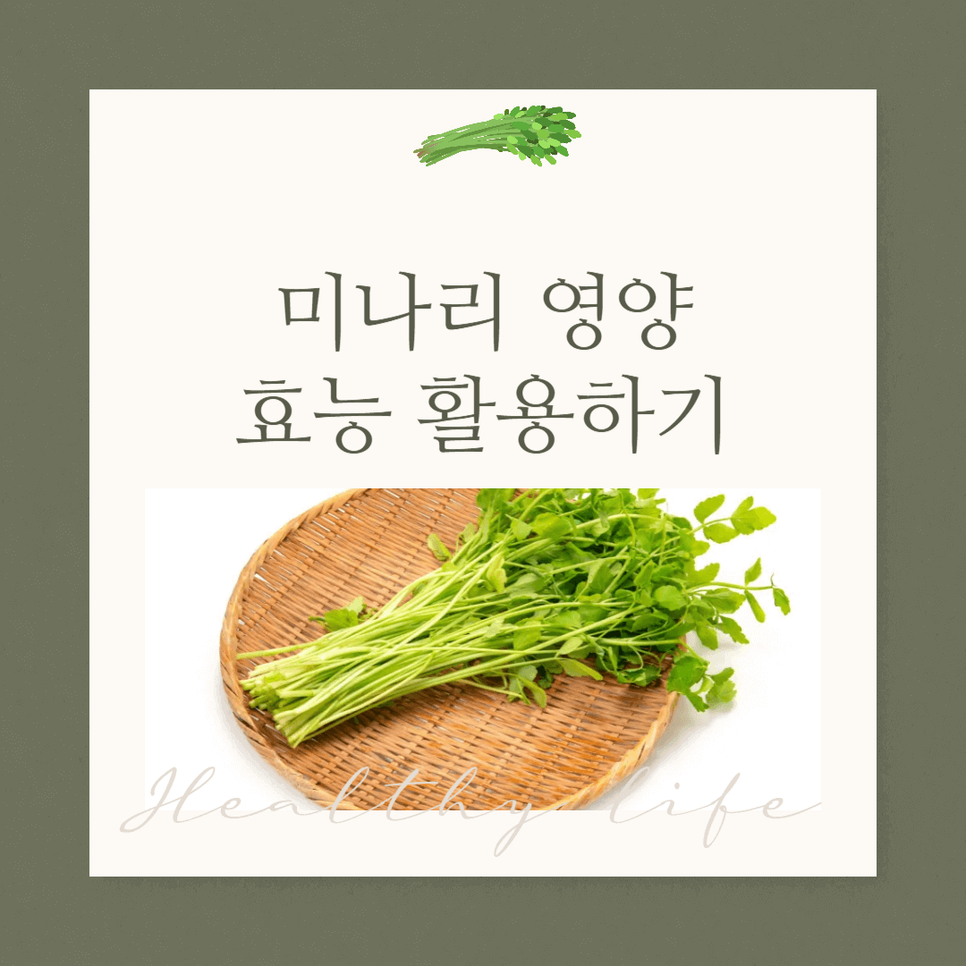 미나리 영양 효능 활용하기