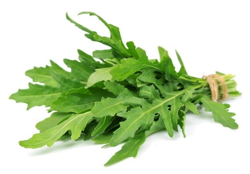 루꼴라 효능 및 먹는법 / 보관법