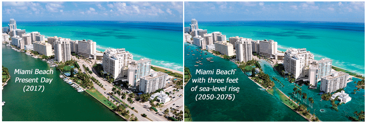 해수면에 침식되는 플로리다 사진