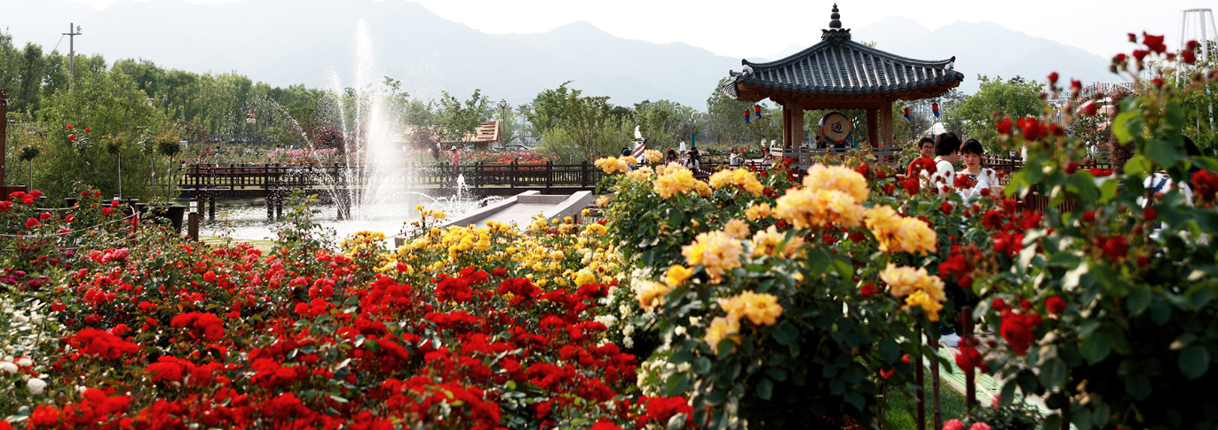 곡성세계장미축제