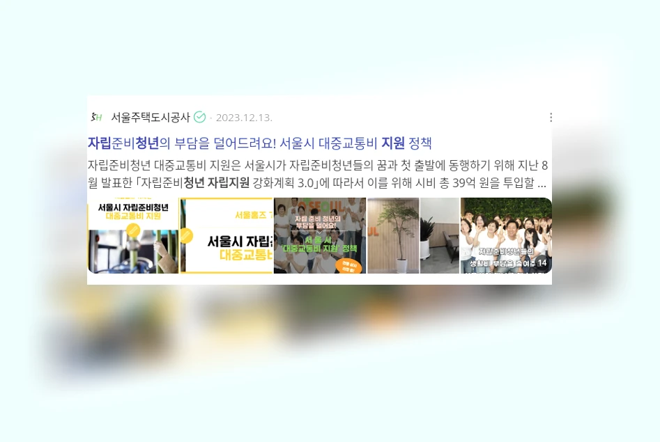 청년 자립 지원_3_subsection