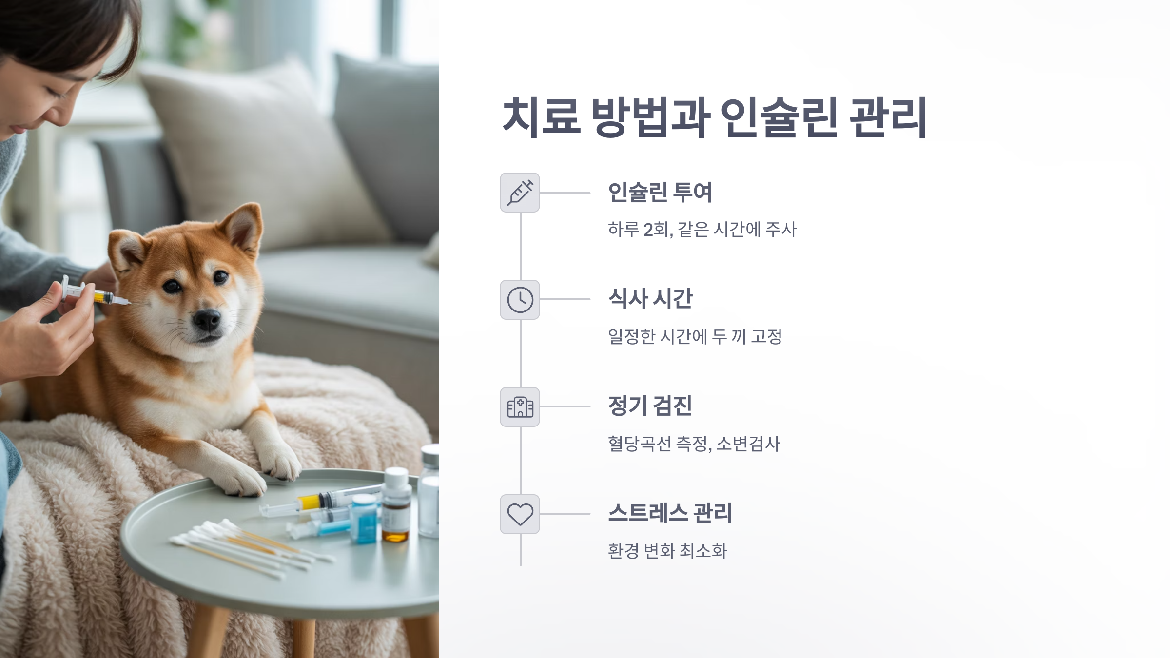 참조-당뇨병-강아지-4