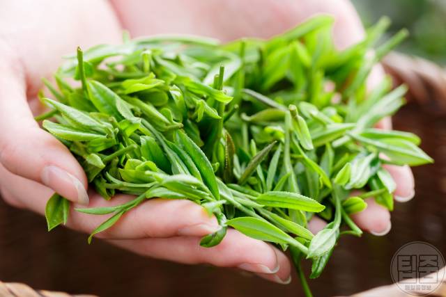 색소침착 제거 좋은 음식 녹차잎,색소침착 레이저 후기,색소침착 자연치유