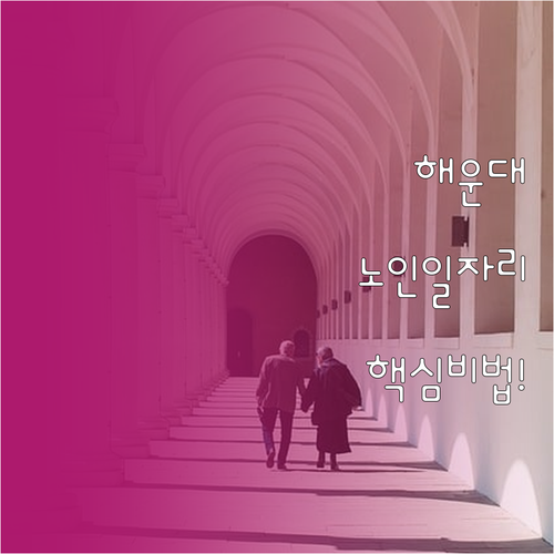 해운대 노인일자리 참여 방법과 시니어..