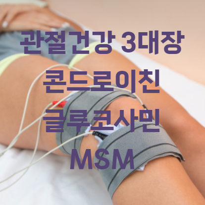 관절건강 3대장 콘드로이친, 글루코사민, MSM