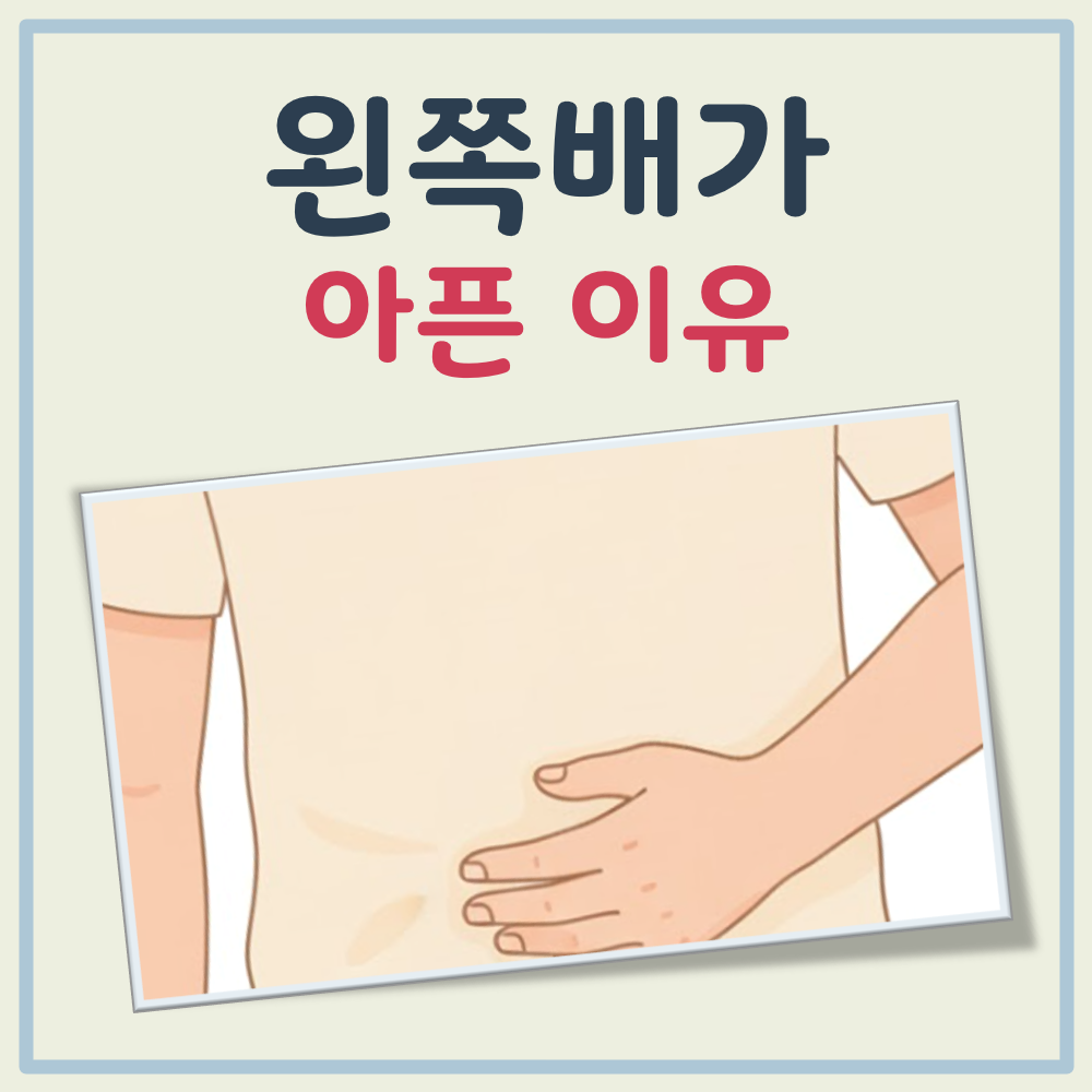 왼쪽배가 아픈이유 대표 이미지