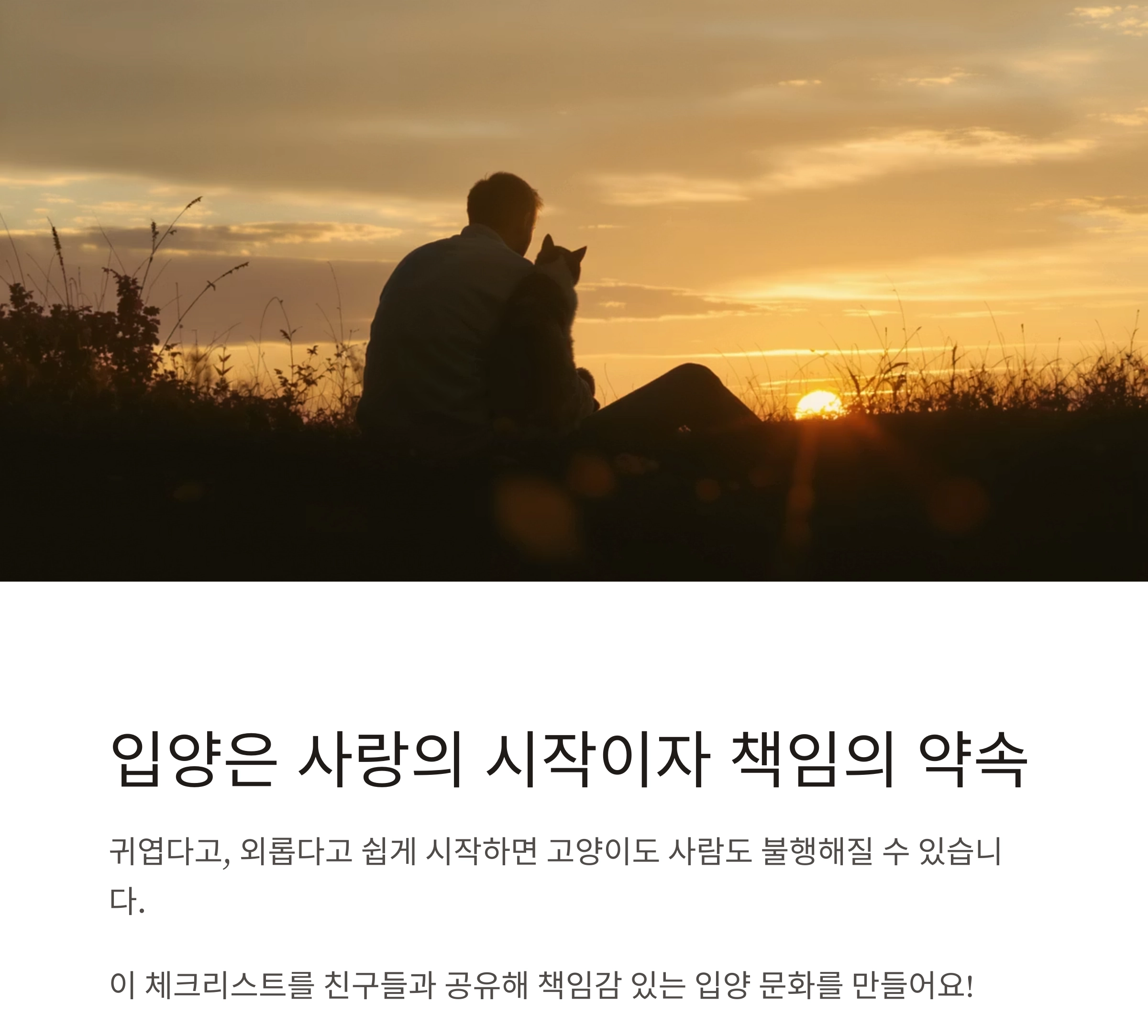 후회 없는 선택을 위한 고양이 입양 전 체크리스트