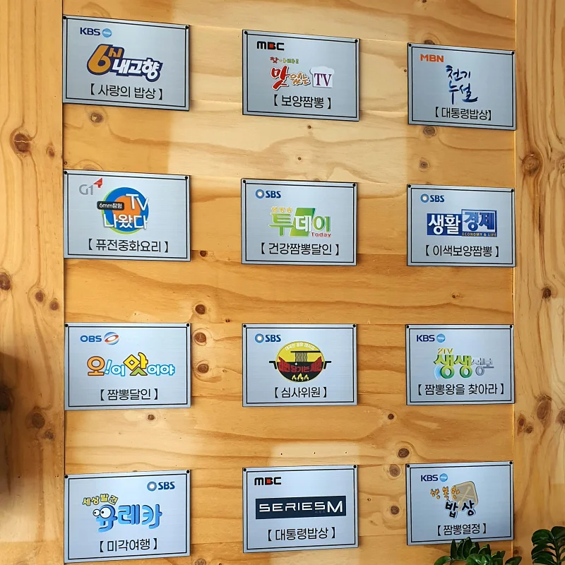TV출연기록
