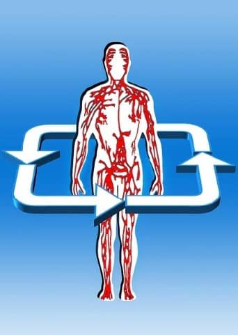 혈액형별 맞춤 다이어트 전략: 내 몸에 딱 맞는 다이어트 방법