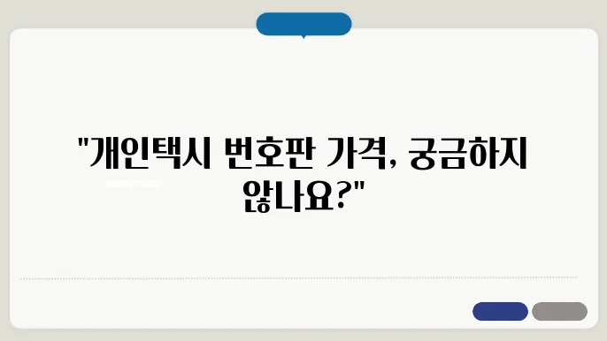 개인택시 번호판 가격