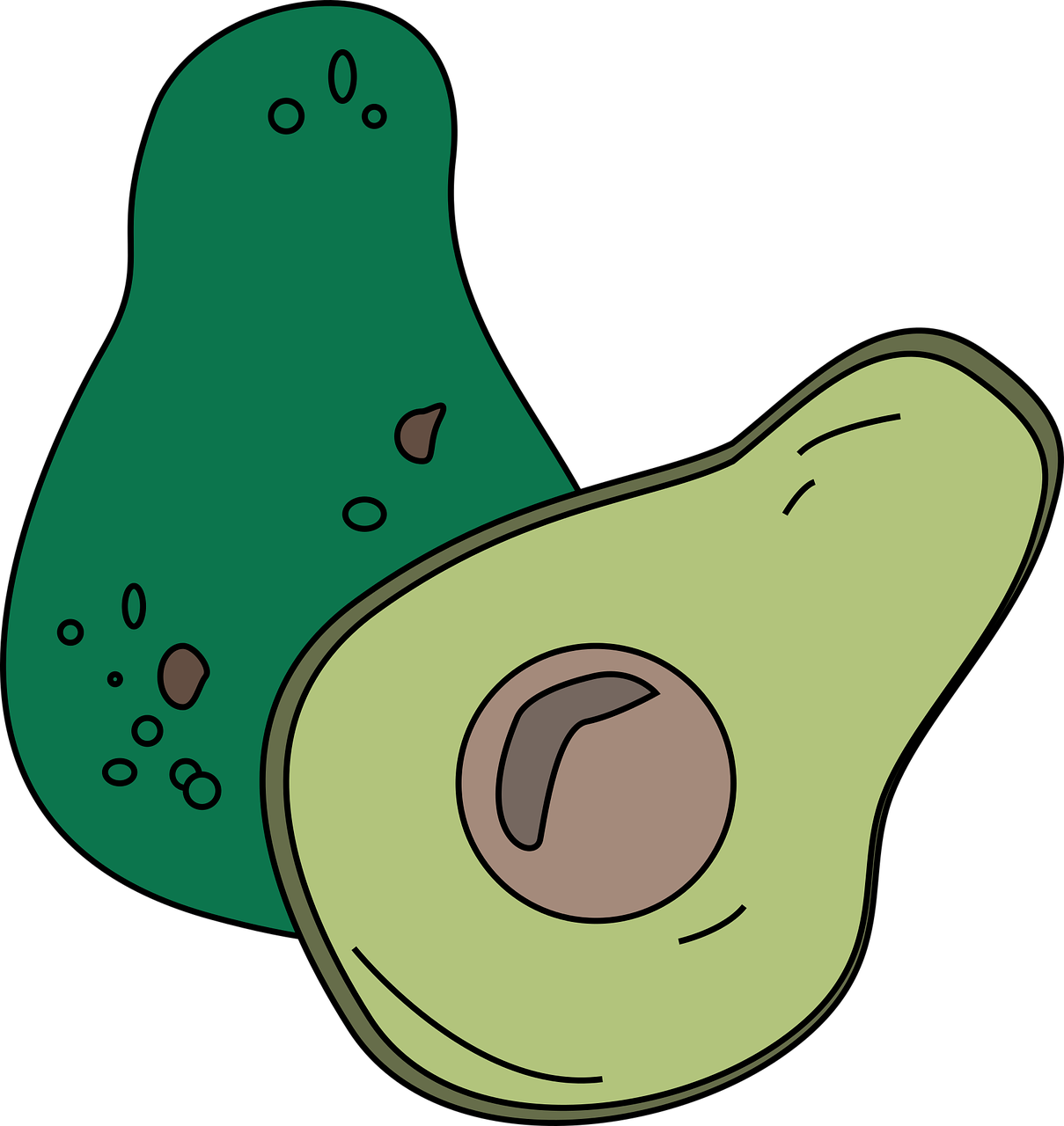 아보카도와 관련된 이미지