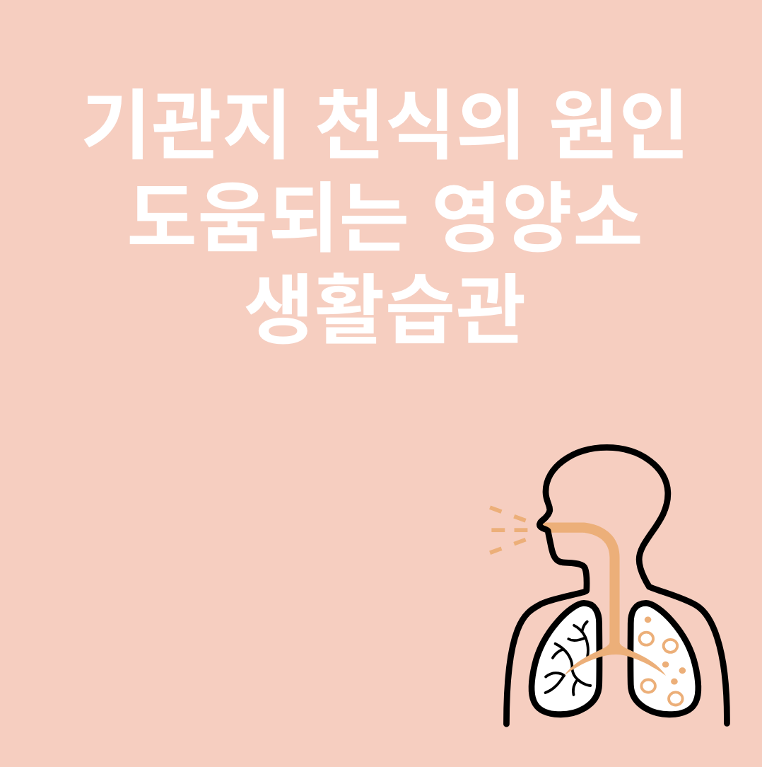 기관지와 관련된 이미지