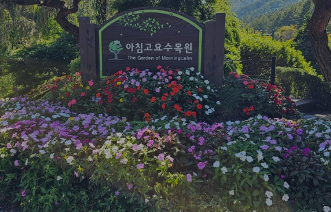 아침고요수목원