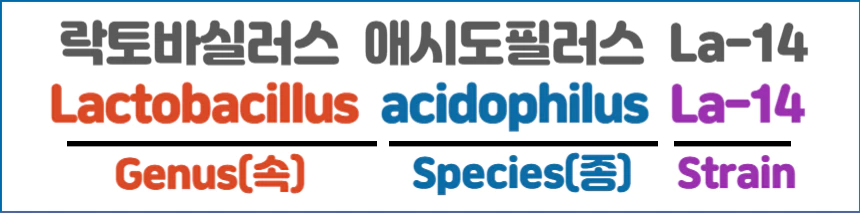 유산균-이름-표기-기준